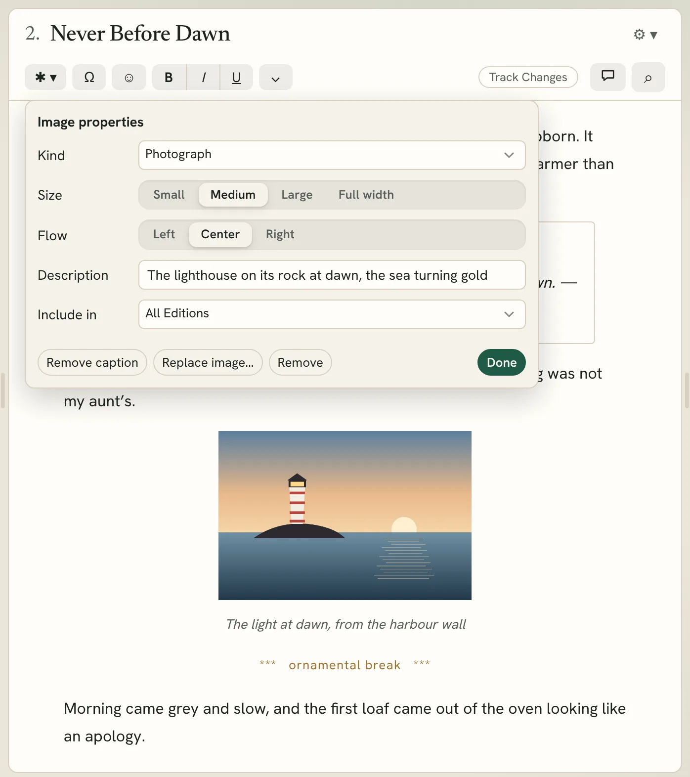 the Image properties box beside a picture in the editor